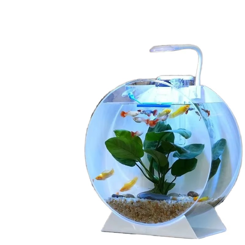 Aquarium Fish For Sale - Wyprzedaż Nowoczesne Ekologiczne Akrylowe Akwaria Różne
