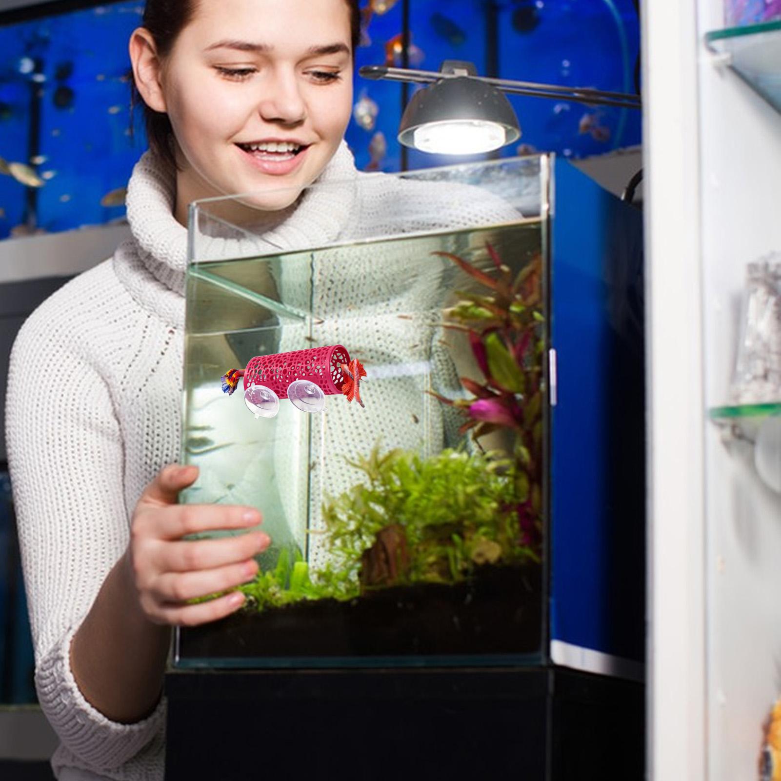 Ozdoba do akwarium Betta, tune – Aquarium Fish Real recenzja i cena