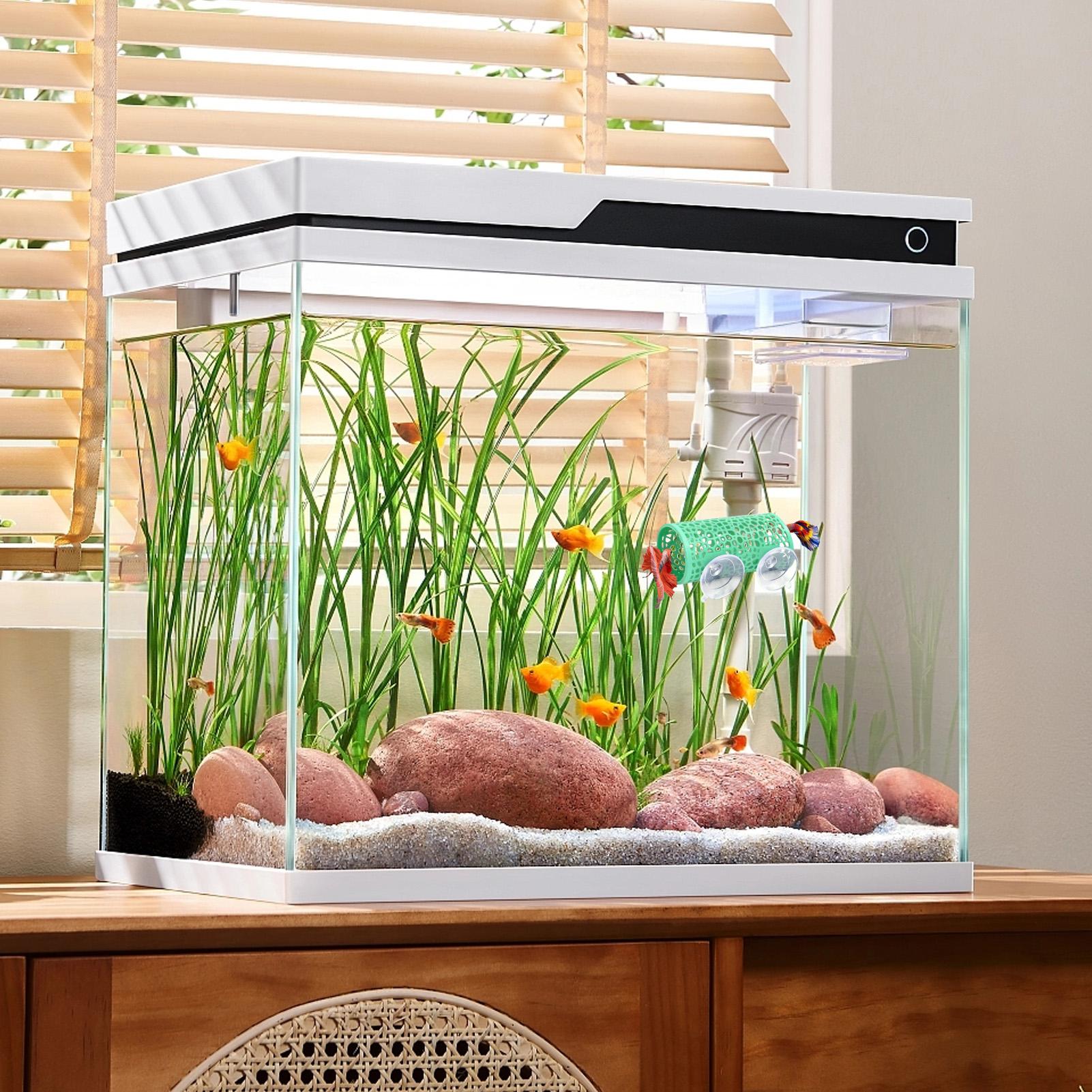 Ozdoba do akwarium Betta, tune – Aquarium Fish Real recenzja i cena