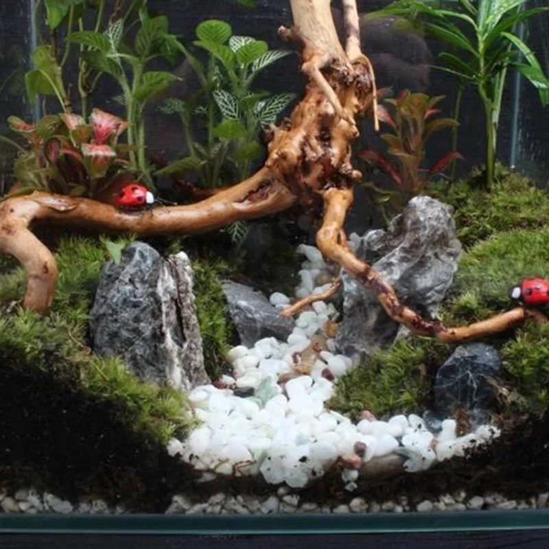 Naturalne drzewo pnia Driftwoo – Aquarium Fish Games recenzja i cena