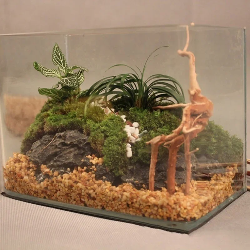 Naturalne drzewo pnia Driftwoo – Aquarium Fish Games recenzja i cena