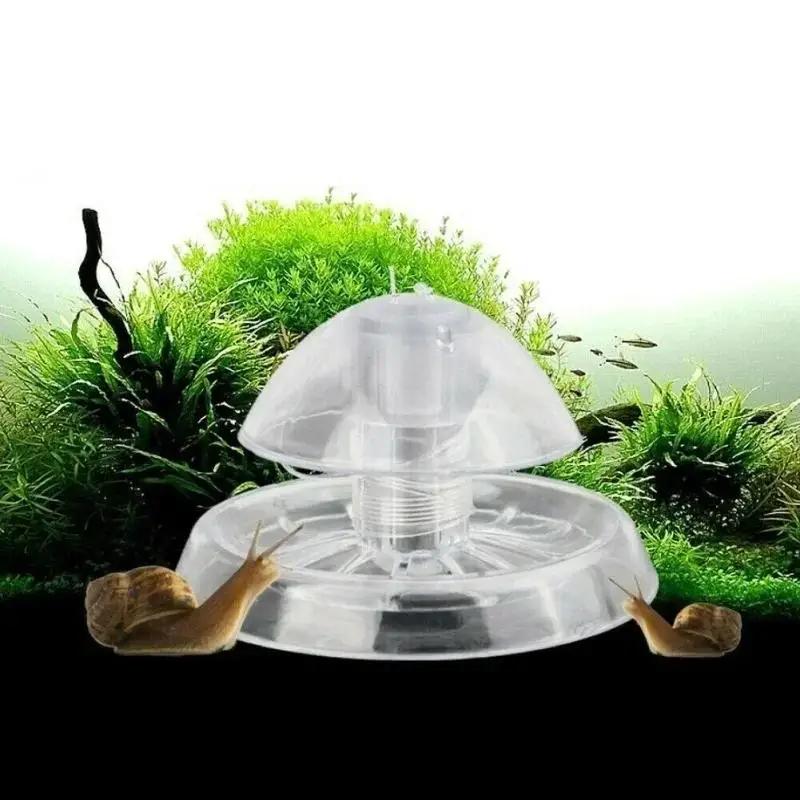 2026 Nowa przezroczysta plasti – Aquarium Fish Real recenzja i cena