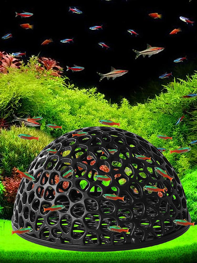 Akwarium Ukryte Gniazdo Jaskin – Aquarium Fish Games recenzja i cena