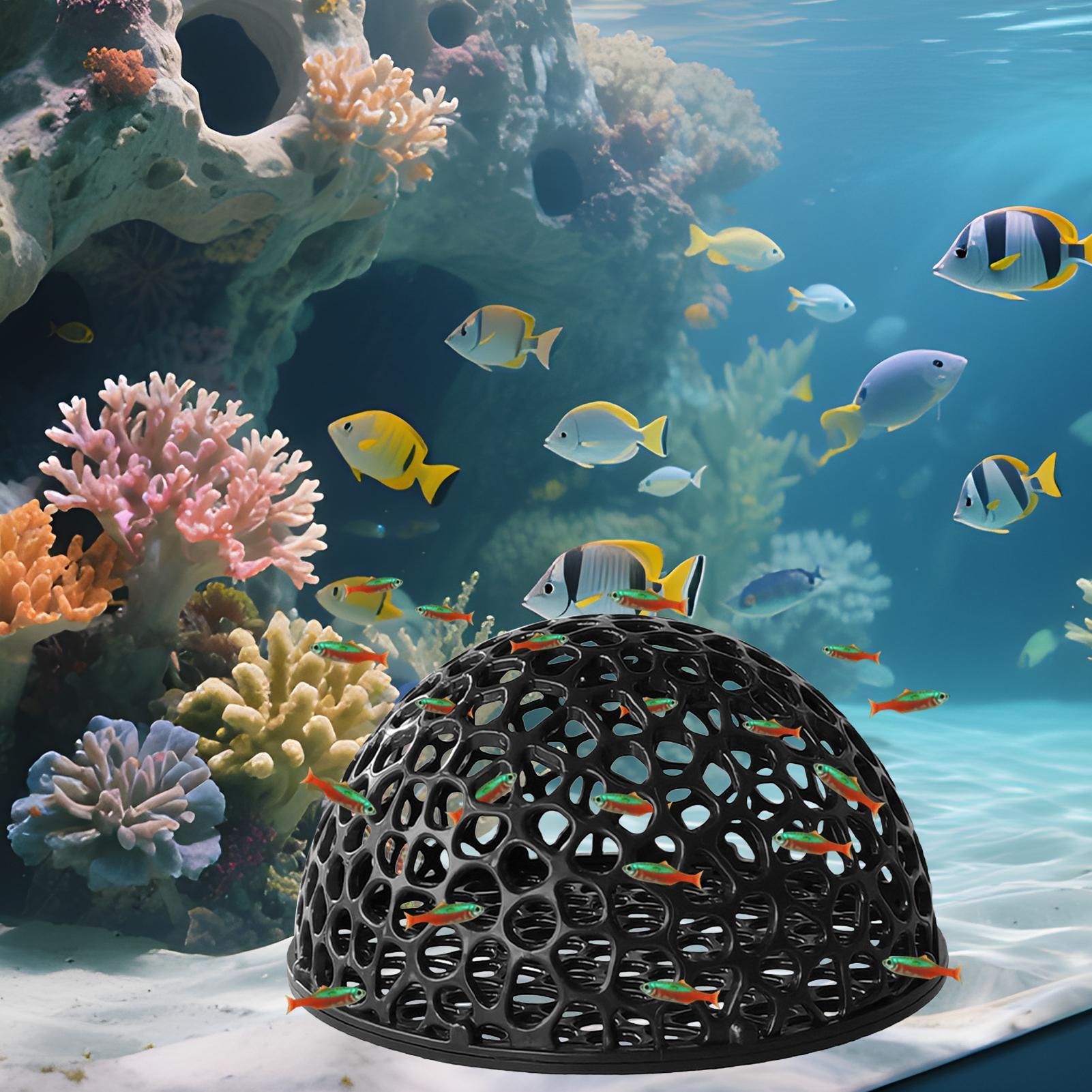 Akwarium Ukryte Gniazdo Jaskin – Aquarium Fish Games recenzja i cena
