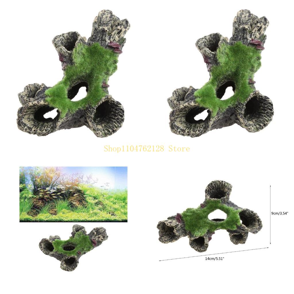 Ryba do dekoracji zbiornika Ak – Aquarium Fish For Sale recenzja i cena