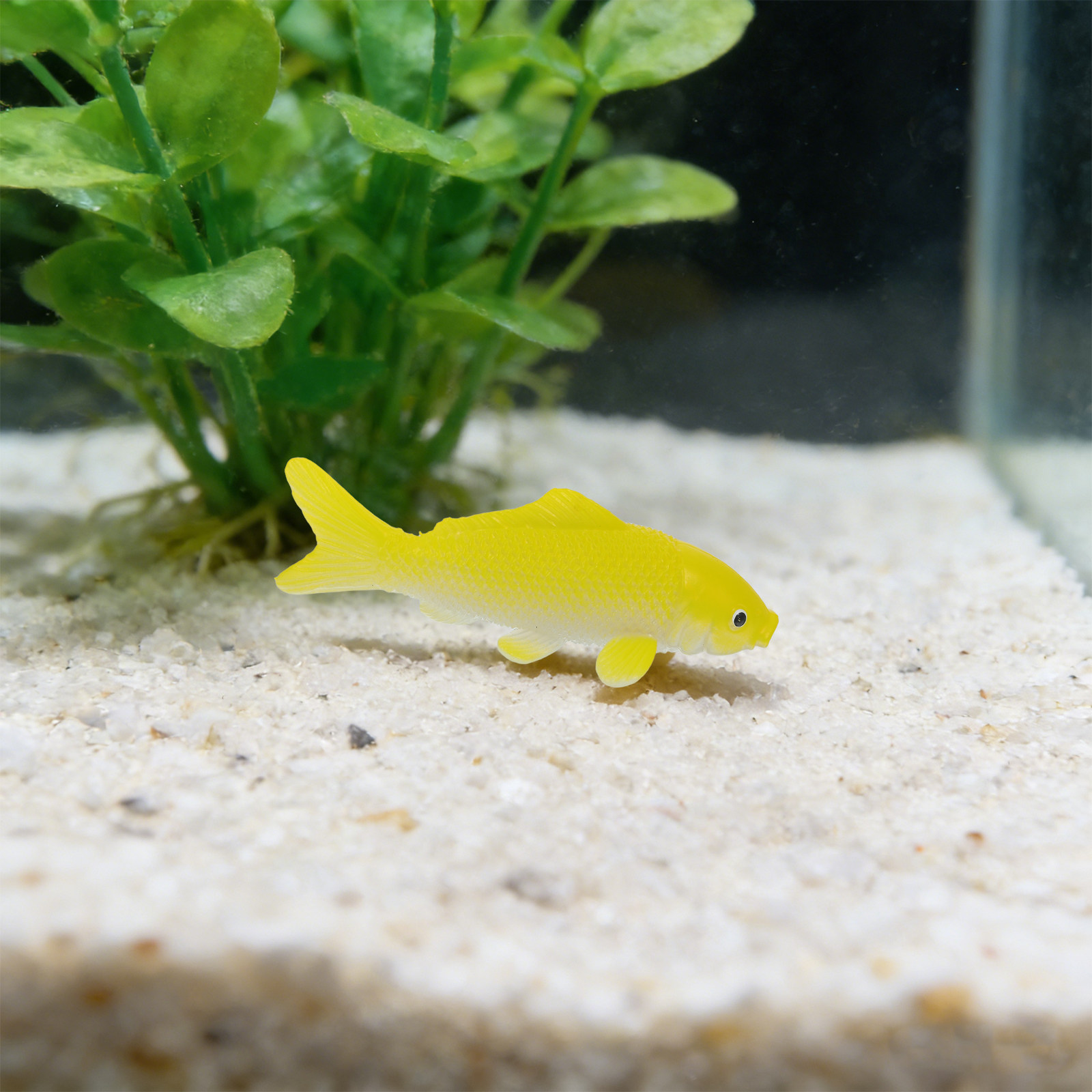3 szt. Realistyczne plastikowe – Aquarium Fish Home recenzja i cena