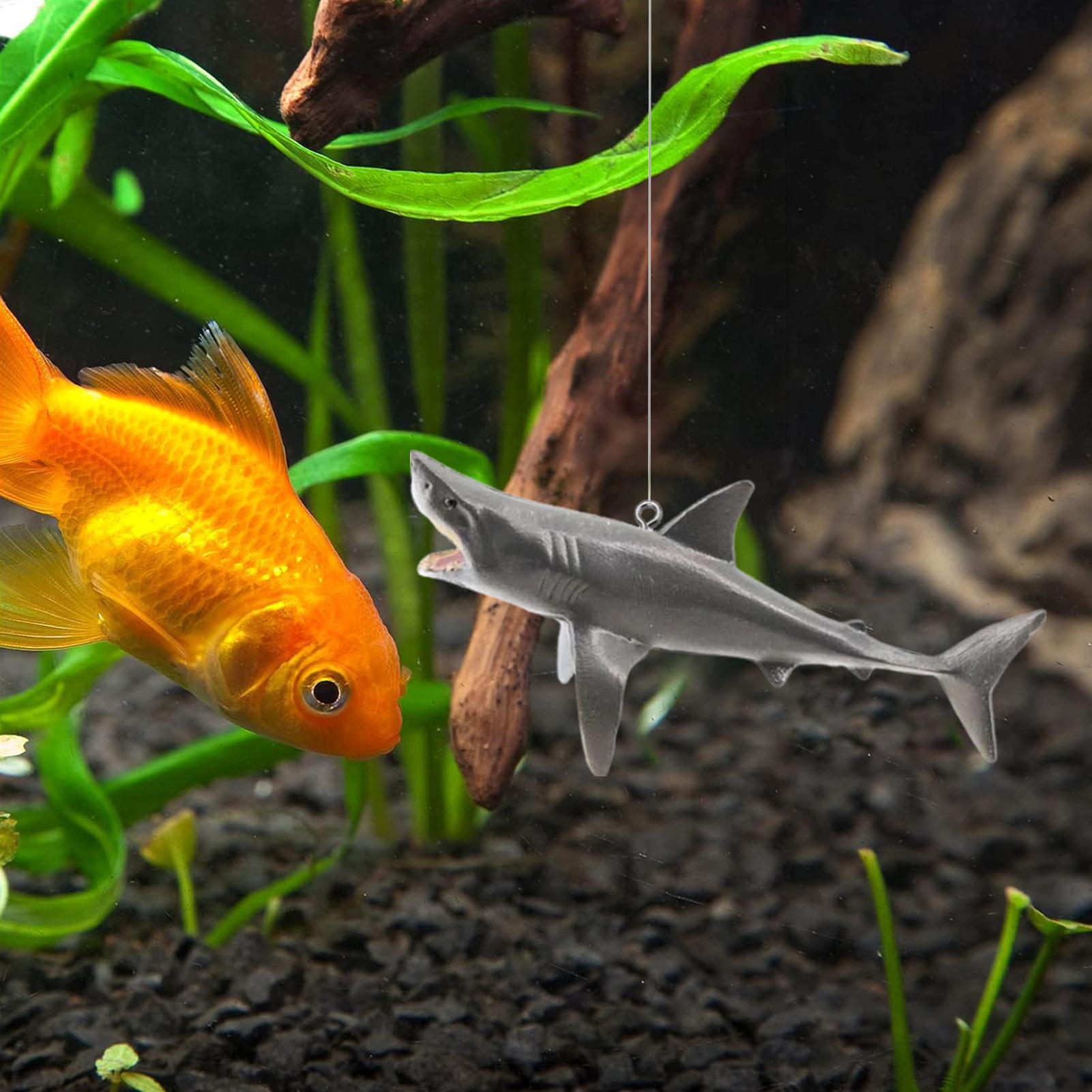 Dekoracja akwariowa w kształci – Aquarium Fish Games recenzja i cena
