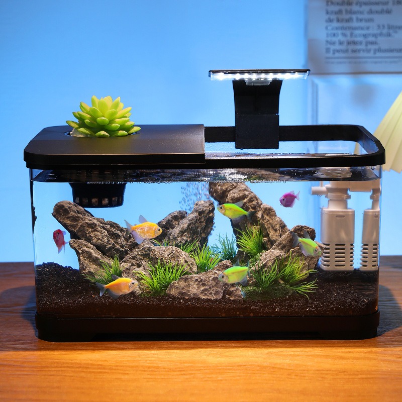 Akwarium stołowe z filtrem obi – Aquarium Fish Home recenzja i cena