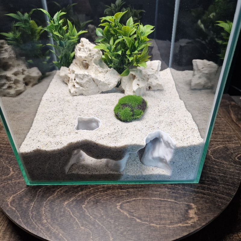 Wysokiej jakości druk 3D, pias – Aquarium Fish Games recenzja i cena