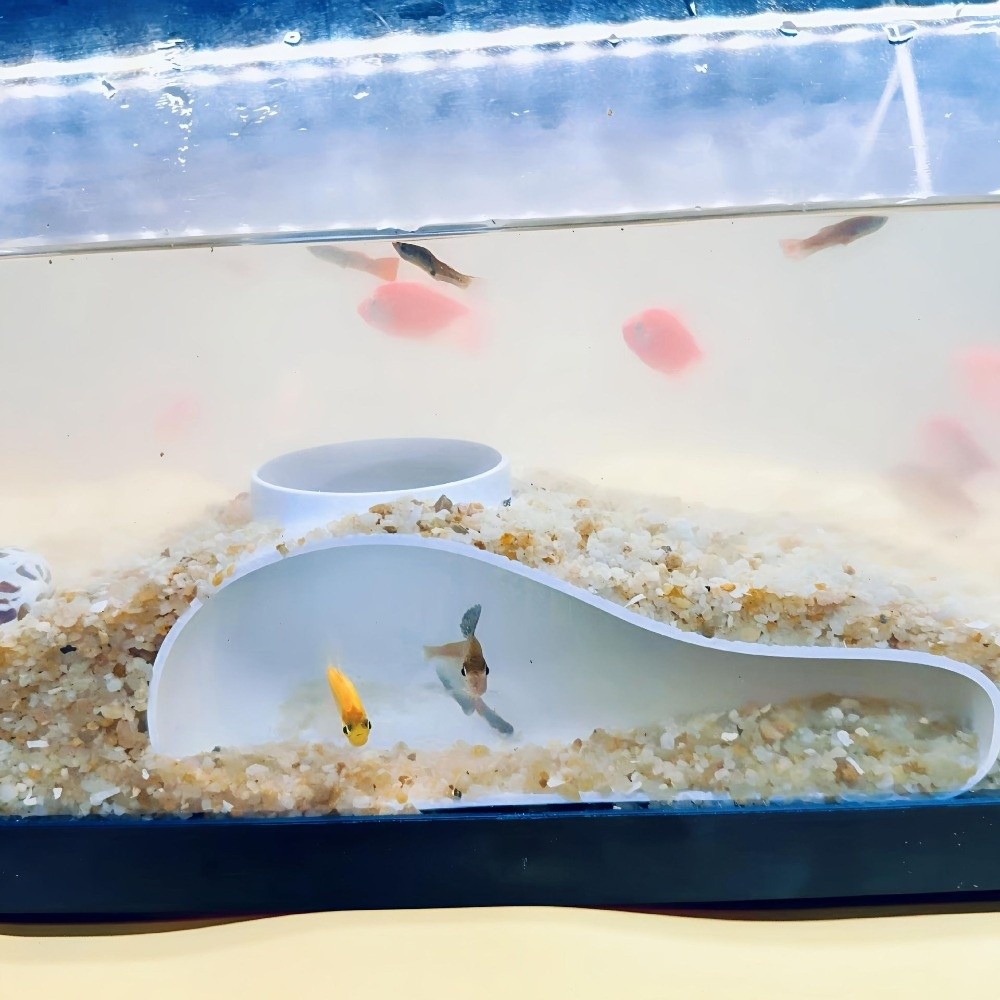 Wielokrotnego użytku tunel do  – Aquarium Fish Games recenzja i cena