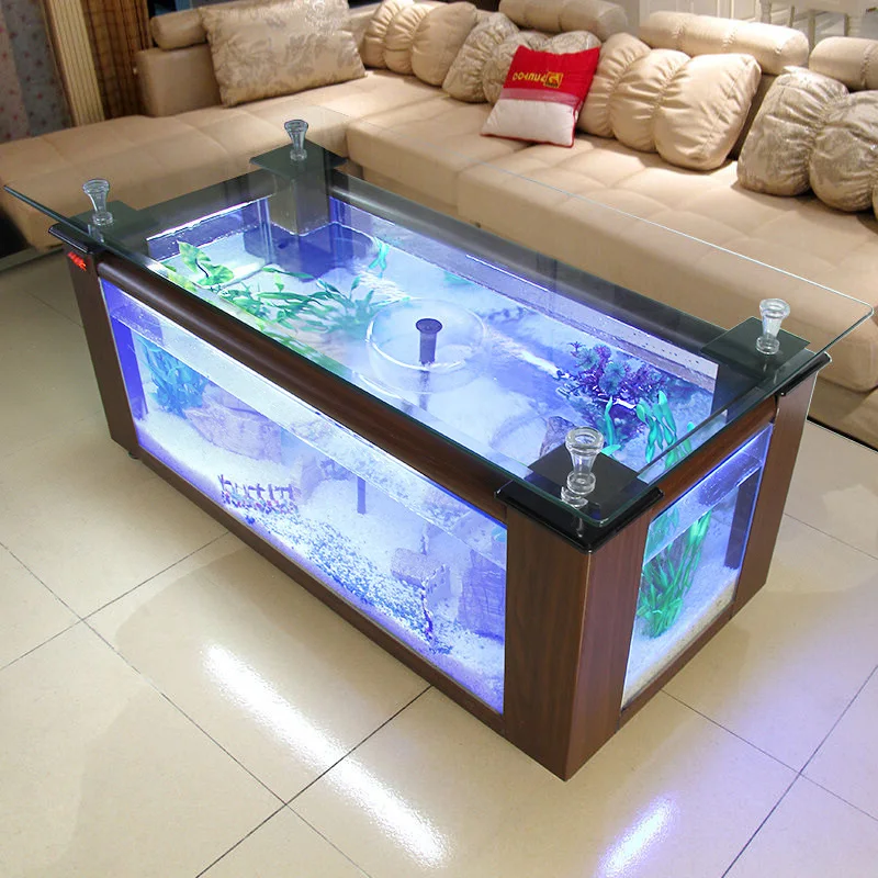 Gorąca wyprzedaż: Duży prostok – Aquarium Fish For Sale recenzja i cena