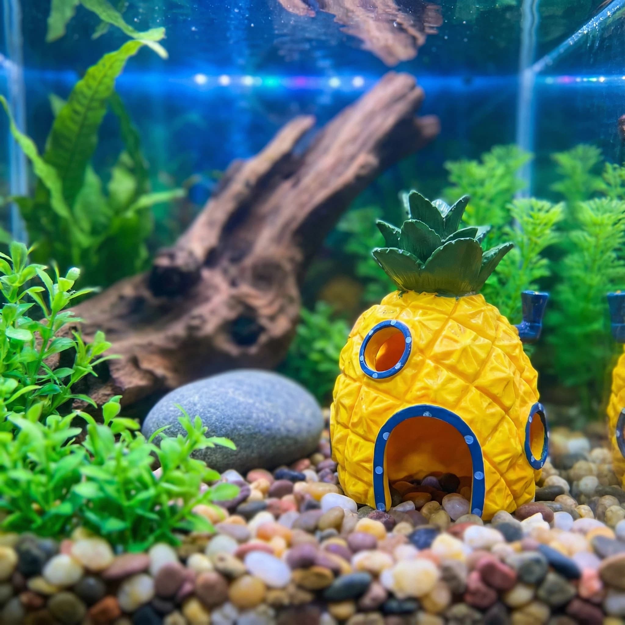 Dekoracja akwariowa w kształci – Aquarium Fish Games recenzja i cena