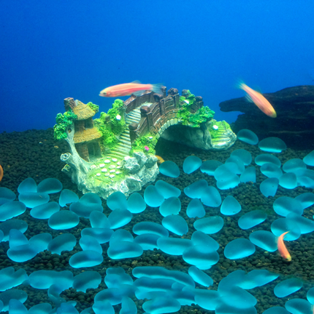 Akcesoria do akwarium Arbor Tr – Aquarium Fish Games recenzja i cena