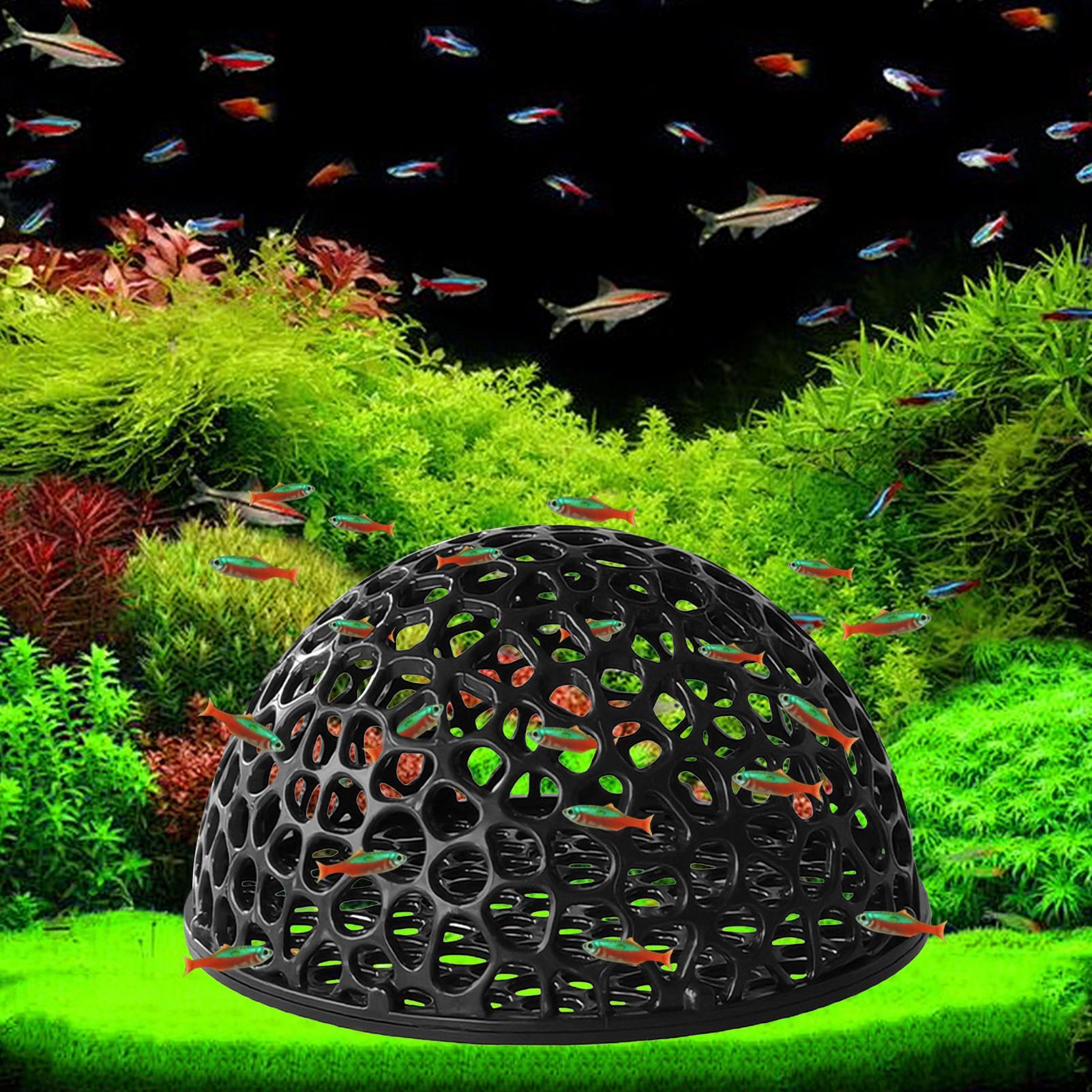 Dom dla krewetek akwariowych J – Aquarium Fish Games recenzja i cena