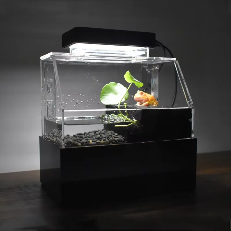Relaxlines Niestandardowe Akwa – Aquarium Fish For Sale recenzja i cena