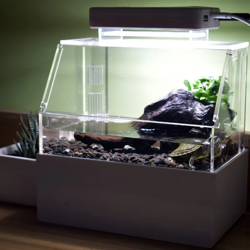 Relaxlines Niestandardowe Akwa – Aquarium Fish For Sale recenzja i cena