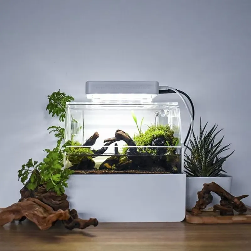 Relaxlines Niestandardowe Akwa – Aquarium Fish For Sale recenzja i cena